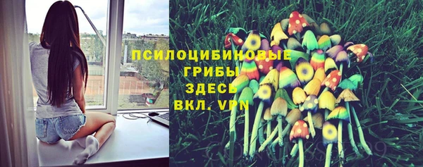 марки lsd Нея