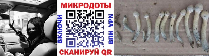 Купить закладки  Россошь  Псилоцибиновые грибы ЛСД 